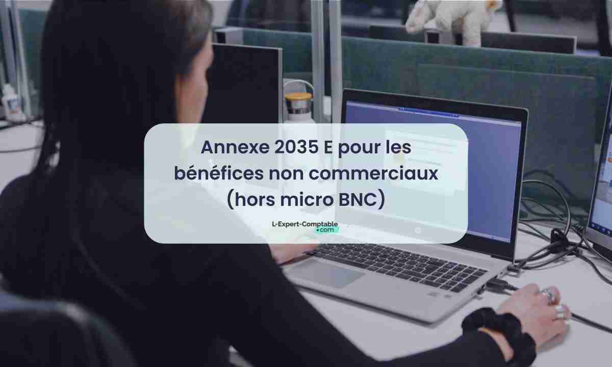 Annexe 2035 E pour les bénéfices non commerciaux (hors micro BNC)