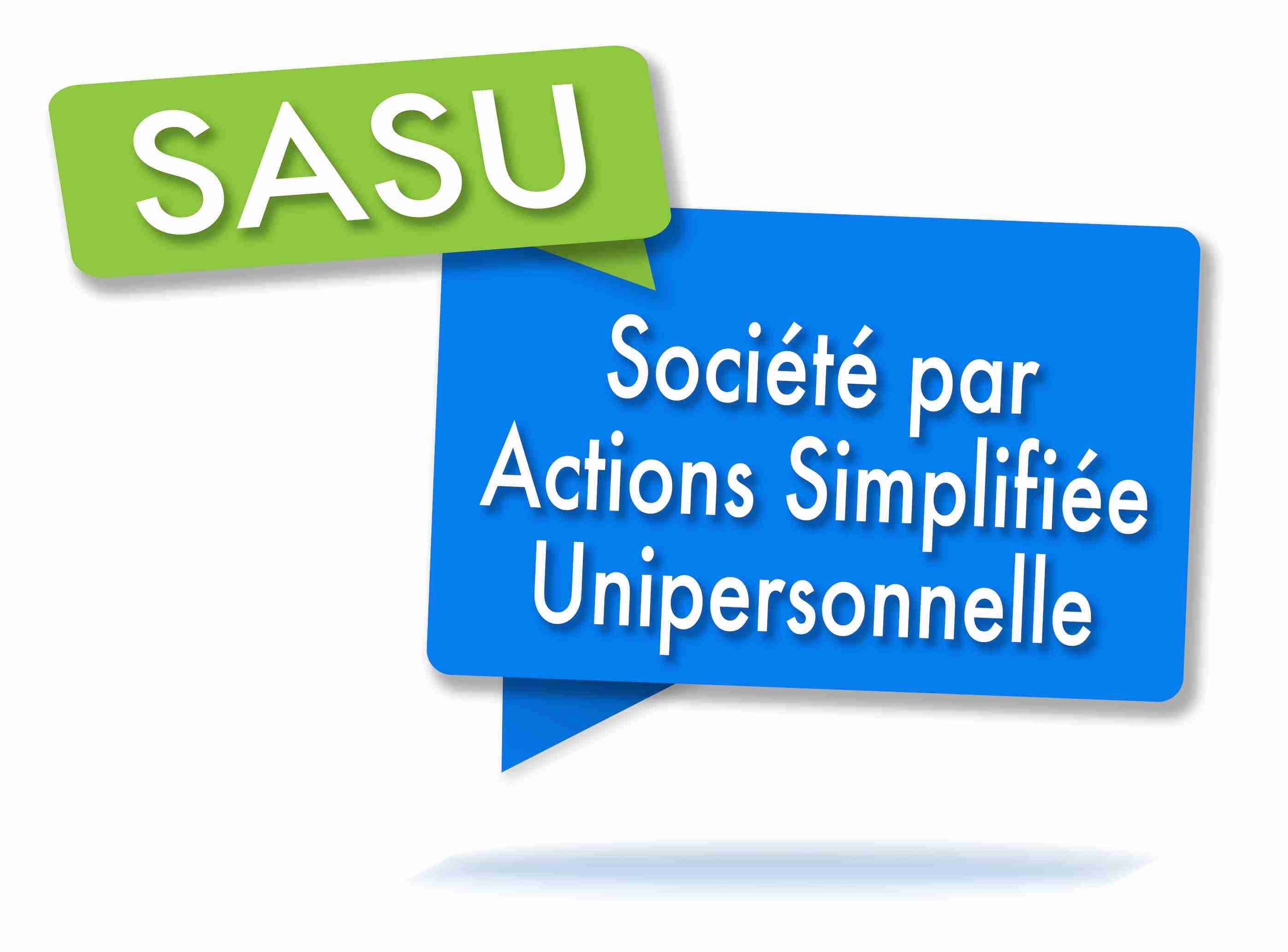 Comment transformer une EURL en SASU Guide complet (2024)