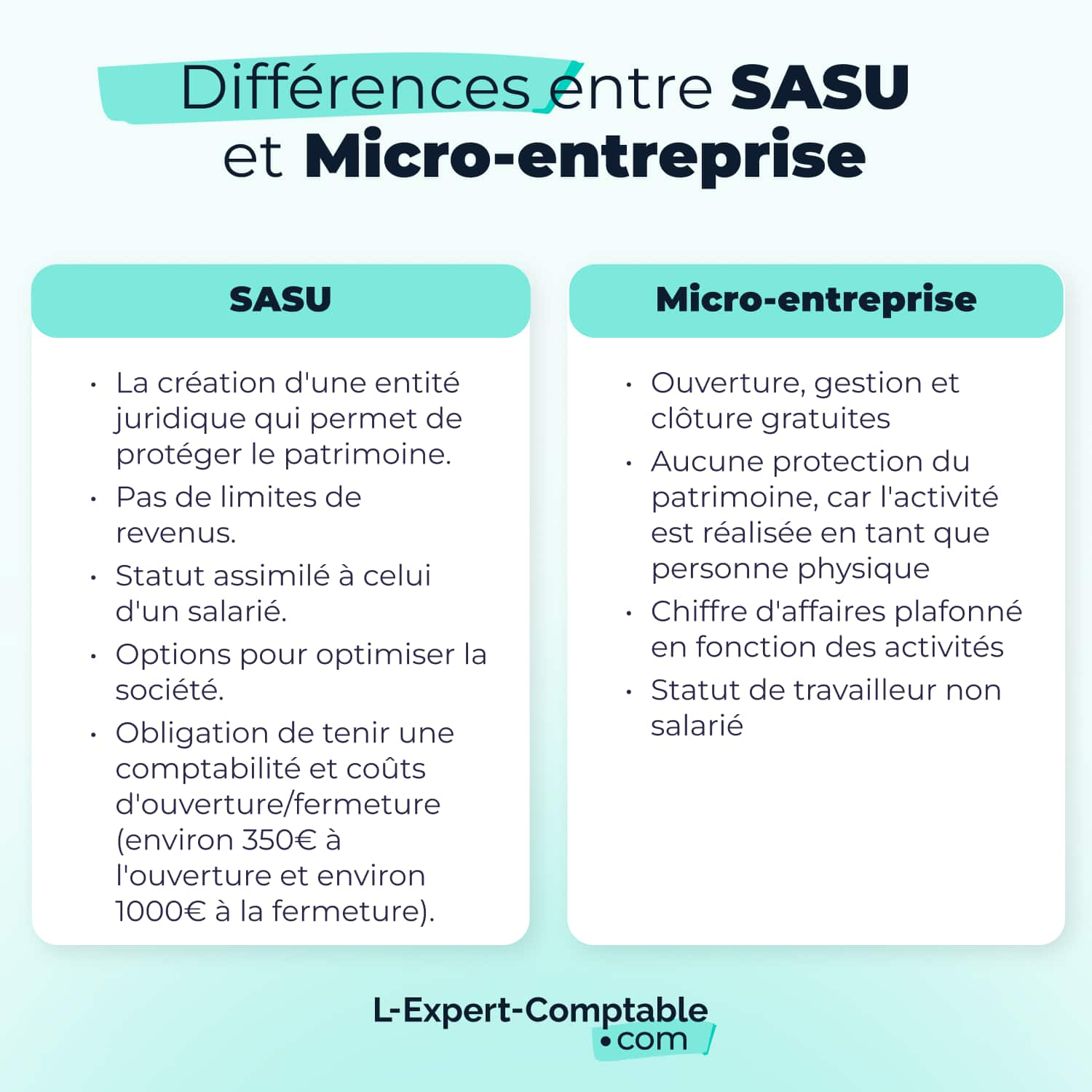 Différences entre SASU et Micro entreprise