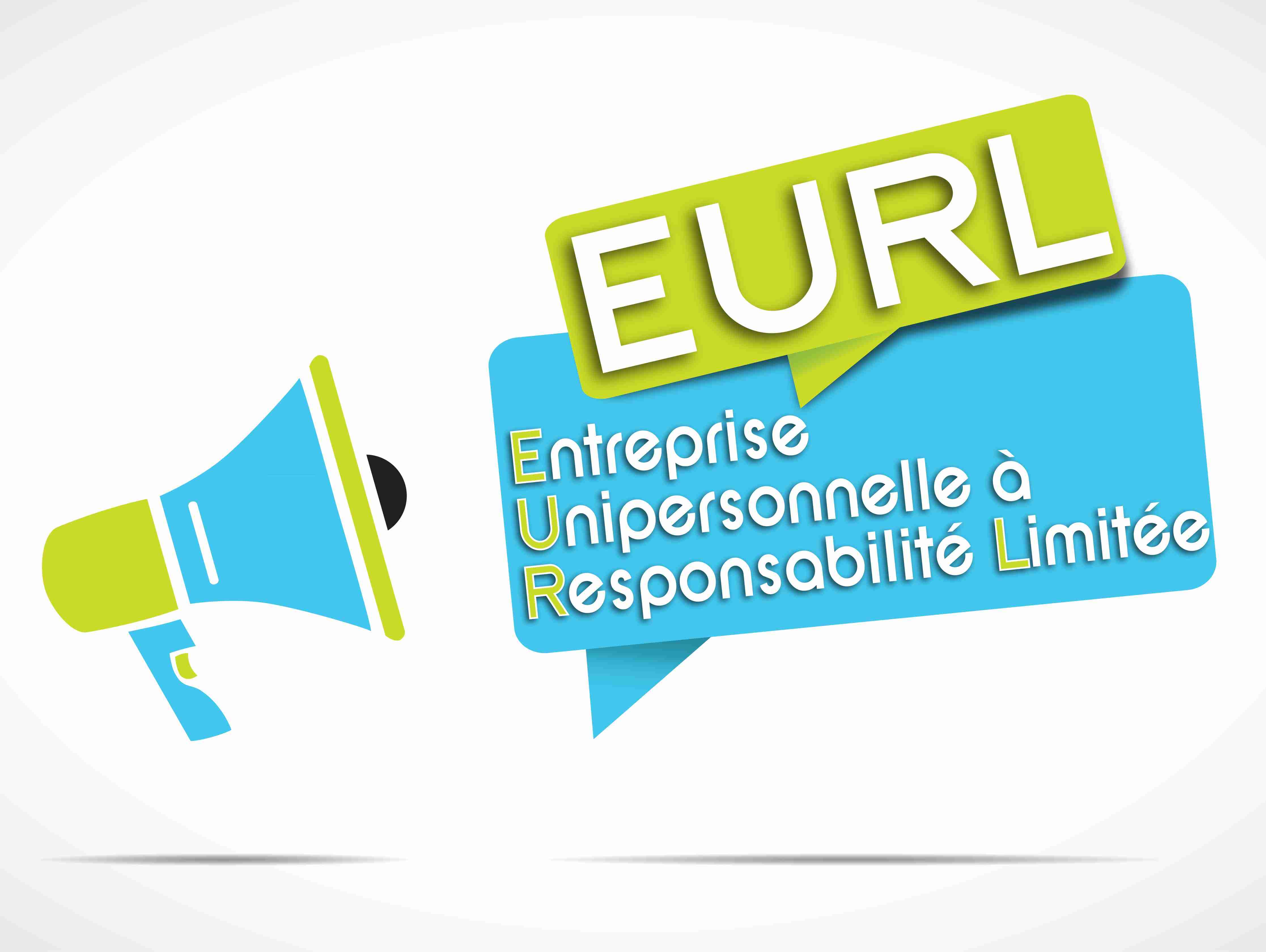 eurl-statut-entreprise