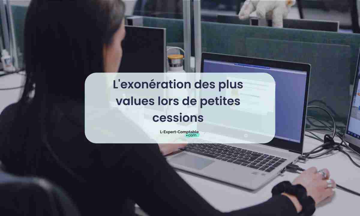 L'exonération des plus values lors de petites cessions