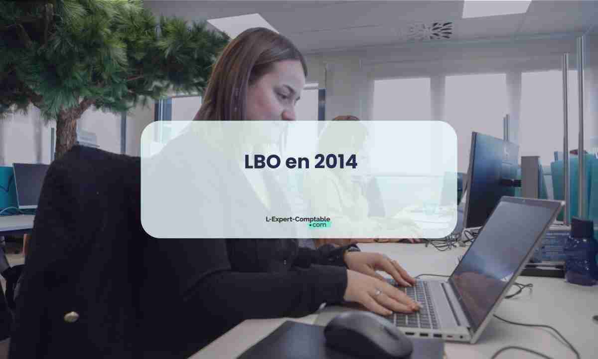  LBO en 2014