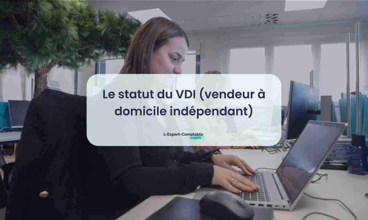 Le statut du VDI (vendeur à domicile indépendant)