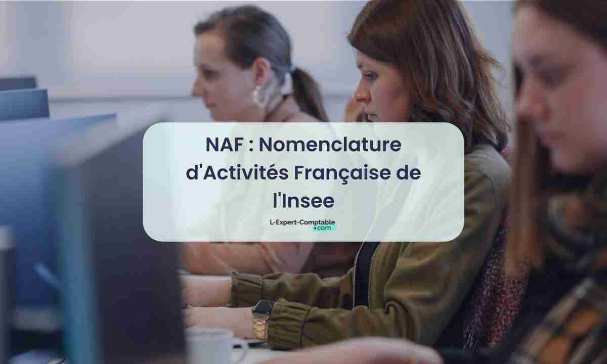 NAF Nomenclature d'Activités Française de l'Insee