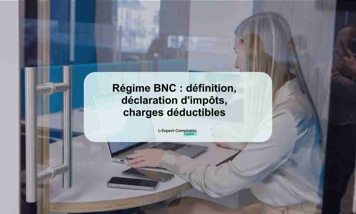 Régime BNC définition, déclaration d'impôts, charges déductibles