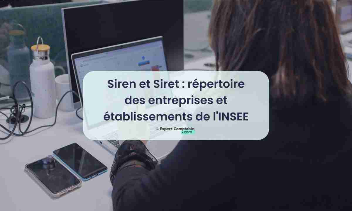 Siren et Siret répertoire des entreprises et établissements de l'INSEE 