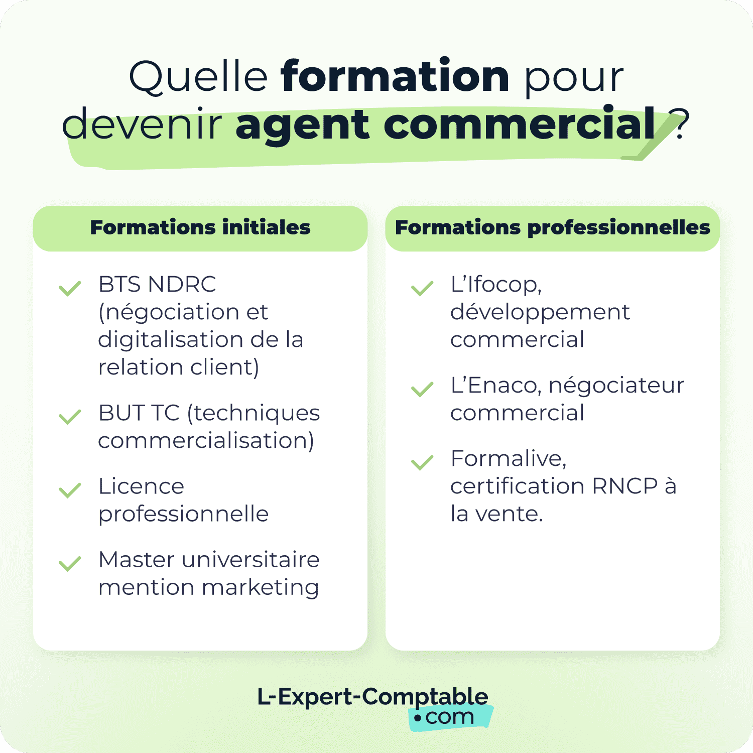 Quelle formation pour devenir agent commercial ?